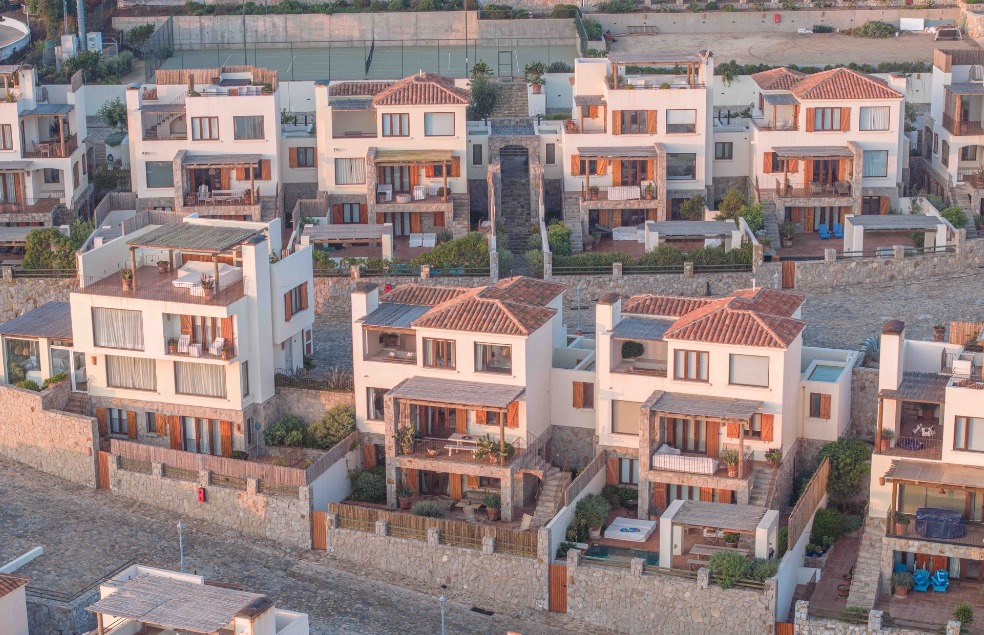 Proyecto Tortugas Cachagua - Imagen 2